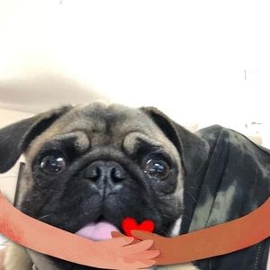 Meet your Posher, Marie